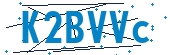 recaptcha