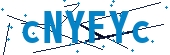 recaptcha