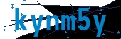 recaptcha