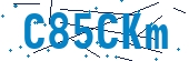 recaptcha